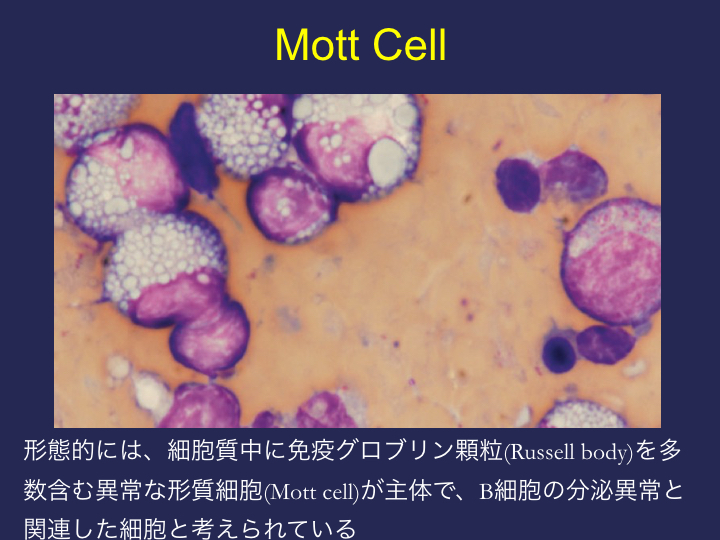 mott cell-3.001.jpeg